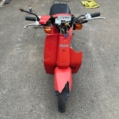 シバかれたスクーター