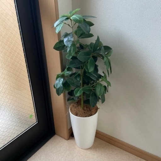 ☆★ フェイクグリーン／観葉植物☆★