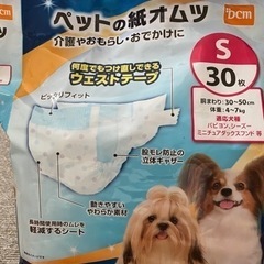 犬用おむつ