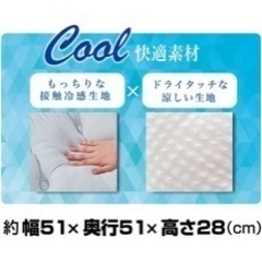 冷感ペットベッドの画像