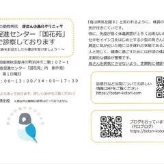 インコ・小鳥と暮らしている方へ！井川町で鳥専門獣医師の診察が始ま...