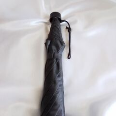 折り畳み傘の画像