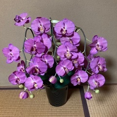 欄の造花