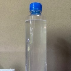生き餌　　ゾウリムシ　　500ml➕αの画像