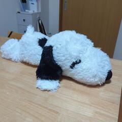 おもちゃ おもちゃ ぬいぐるみの画像