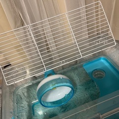 再募集 2月末まで！ルーミィ　ブルーの画像