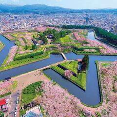 最終値❗【 航空券 】北海道便✈🍀福岡⇔北海道🏕の画像