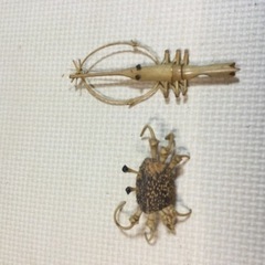 ミニチュア竹細工のエビとカニのセットの画像