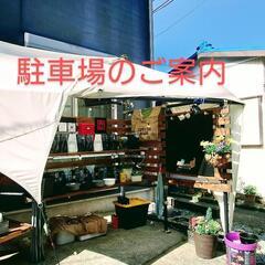 ☀横須賀メダカフィールド☀