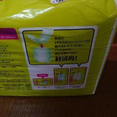 紙パンツ専用パッド　新品未開封の画像