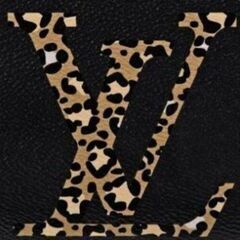 非常に入手困難‼️【日本完売コレクション品 ルイヴィトン長財布】正規品の画像