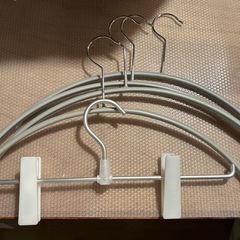 生活雑貨 洗濯用品 ハンガー
