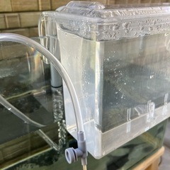 水槽用稚魚飼育　スドー　サテライトスリムM