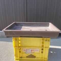 取引中盆栽鉢　鉢