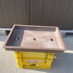 取引中盆栽鉢　鉢の画像