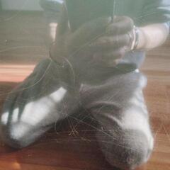 家電 テレビ 液晶テレビの画像