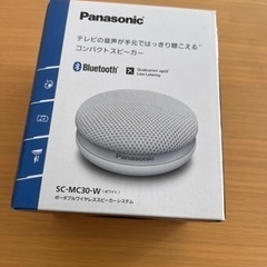 Panasonic コンパクトスニーカーの画像