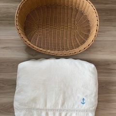 高級感あり！オシャレ！ペット用ベッドの画像