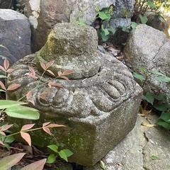 庭石　無料　引き取り限定の画像