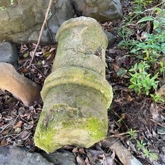 庭石　無料　引き取り限定の画像