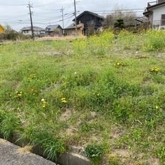 残土 約70m3  
譲ります。　現状から排出、配送作業必要。 
