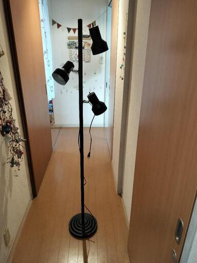 家具 照明器具