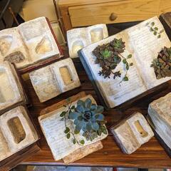 モルタルデコ　モルタル造形　多肉植物、他植物に！ガーデニング　メダカビオトープの画像