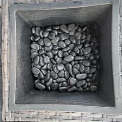 カゴポット（鉢）の画像