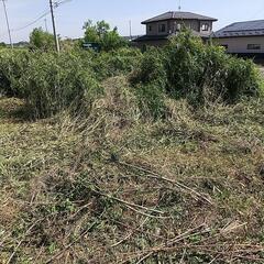 草刈り手伝い