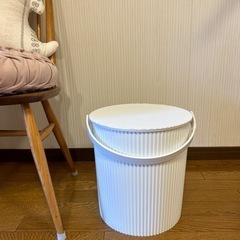 ダブルデイ購入 オムニウッティ