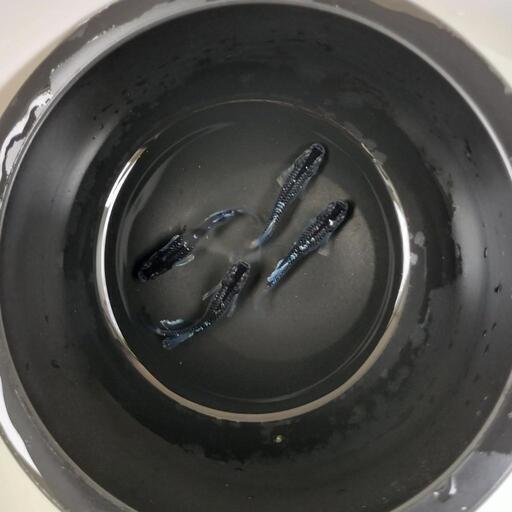 メダカ無人販売所 (森のめだか) てだこ浦西のその他の中古