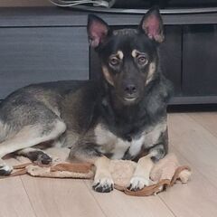 交渉中です