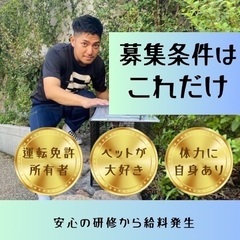 【大田区・世田谷区】ペットタクシードライバーの画像