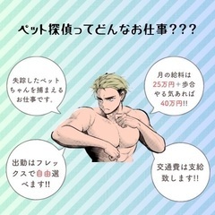 【大田区・世田谷区】ペットタクシードライバーの画像