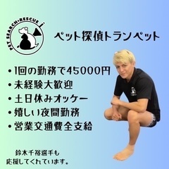 【大田区・世田谷区】ペットタクシードライバーの画像