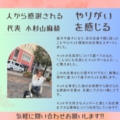 【大田区・世田谷区】ペットタクシードライバーの画像