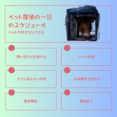 【大田区・世田谷区】ペットタクシードライバーの画像