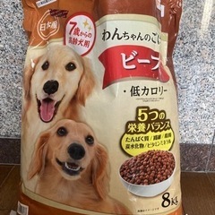 ドッグフードの画像