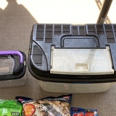 カブトムシ・クワガタ等生育セットの画像