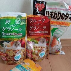 ハムスター　小動物　エサ　セット
