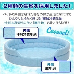 わんちゃん用 ひんやりベットの画像