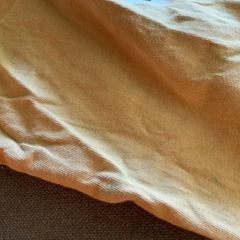 ZARA ザラ　ディズニー　カットソー　サイズ152センチ 写真アップしましたが緑のシミがあります。の画像