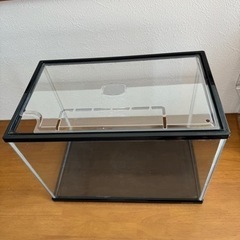 Mサイズの水槽とエアーポンプとスポンジフィルター_____20240505の画像