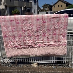 夏用　肌掛けフトン　家具 寝具 布団