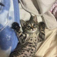 【決まりました】3/21生まれです。