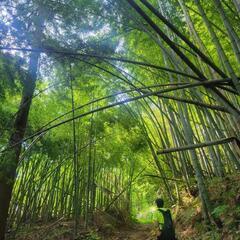 登山仲間 − 富山県