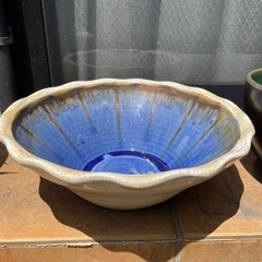 睡蓮鉢