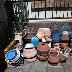 植木鉢あれこれの画像