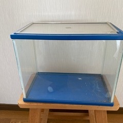 水槽　プラスチック（小）