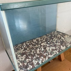 水槽（大）　プラスチックの画像